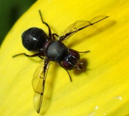 P9180159a.jpg